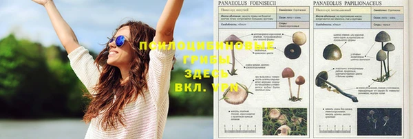 прущая мука Балахна